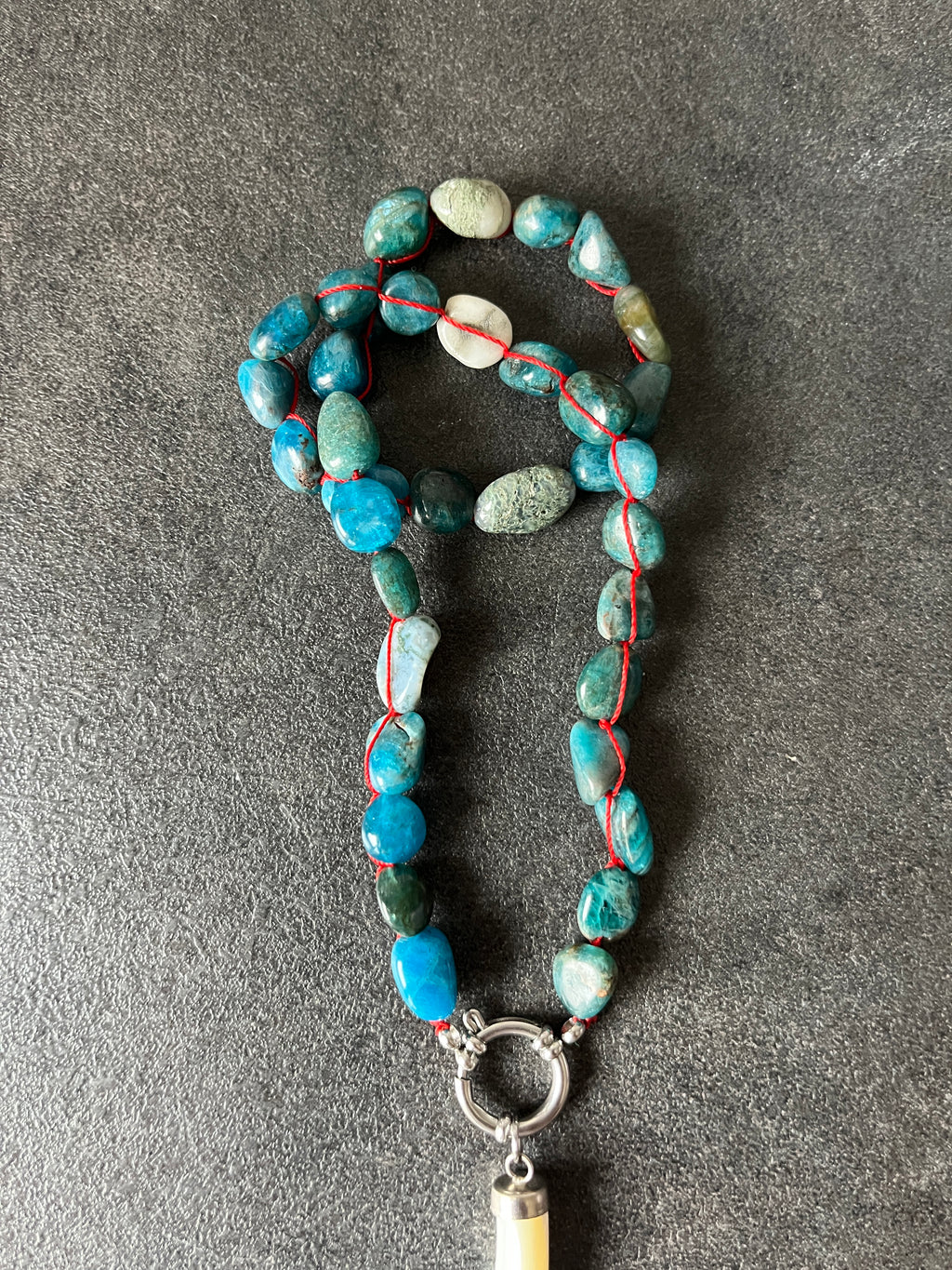 Choker colmillo